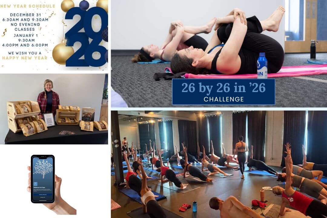 January 2026 Newsletter